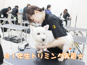 ☆１年生のトリミング実習☆